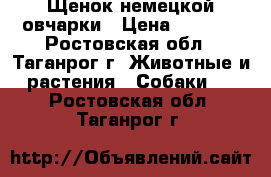 Щенок немецкой овчарки › Цена ­ 8 000 - Ростовская обл., Таганрог г. Животные и растения » Собаки   . Ростовская обл.,Таганрог г.